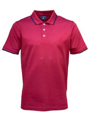Polo 3002 Bordo